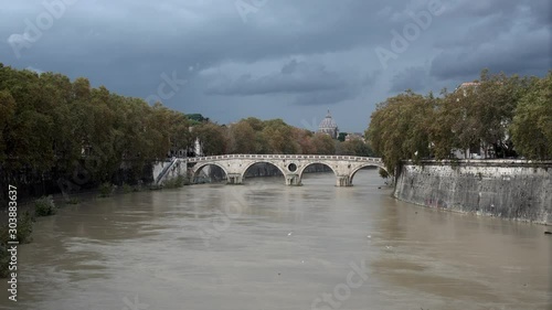 roma, italia, fiume tevere, giorno di pioggia, acqua alta,volo di gabbiani