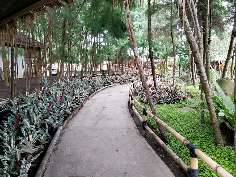 Pathway in the middle of park Pathway in the middle of park