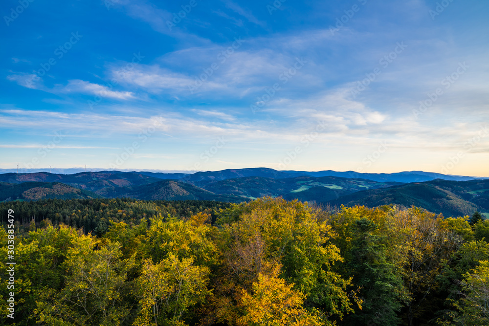Germany, Aerial view above colorful tree tops of black forest nature landscape in autumn atmosphere in warm sunset light