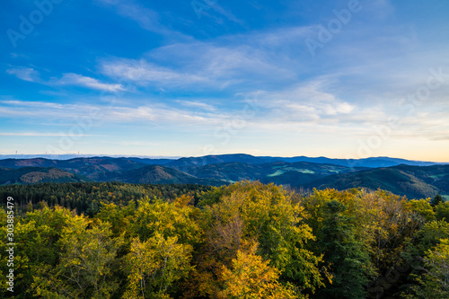 Germany, Aerial view above colorful tree tops of black forest nature landscape in autumn atmosphere in warm sunset light