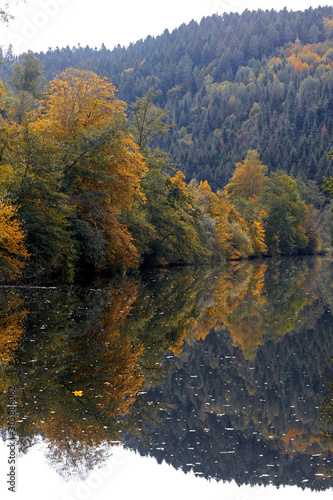 Fototapeta Naklejka Na Ścianę i Meble -  Schwarzwald Landschaft mit bunten Blättern im Herbst mit Bergen, Fluss und Spiegelung in Wasser
