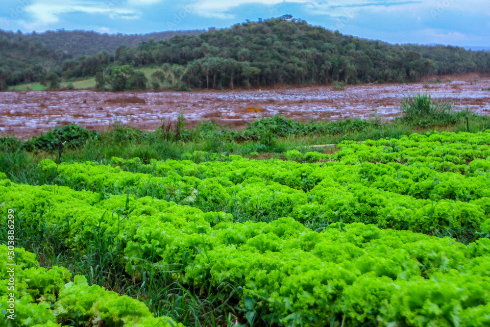 Mineral tailings mud after dam rupture in Brumadinho, Minas Gerais, Brazil
