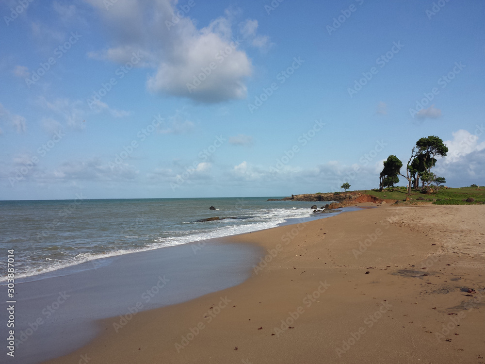 Wild beach and leaning trees in front of the sea in Guadeloupe. French West Indies. Pointe Allegre beach near Sainte Rose in Guadeloupe, a french overseas region in the Caribbean. Tropical Landscape. 