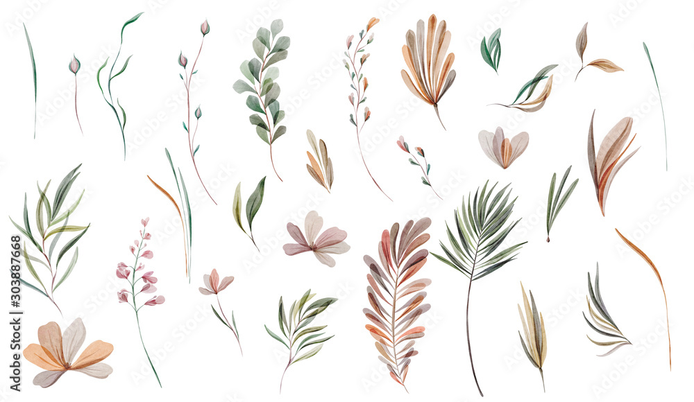 Watercolour Plant Flower Watercolour Plant Flower