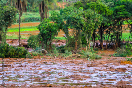 Mineral tailings mud after dam rupture in Brumadinho  Minas Gerais  Brazil