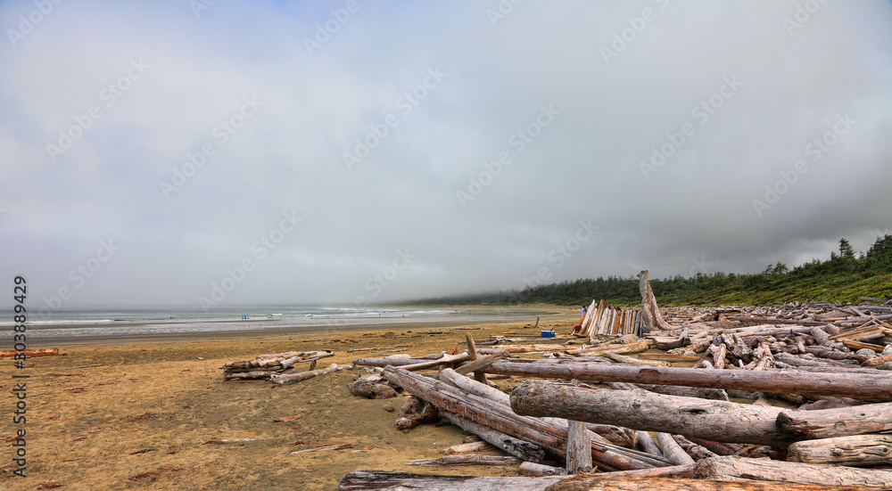 The coast of the Pacific Ocean after the storm in the foggy morning. Logs and driftwood on the Tofino Long Beach ( year-round surfing )Vancouver Island. British Columbia, Canada