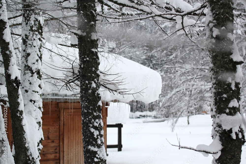 Fotografie Chalet enneigé en Savoie
