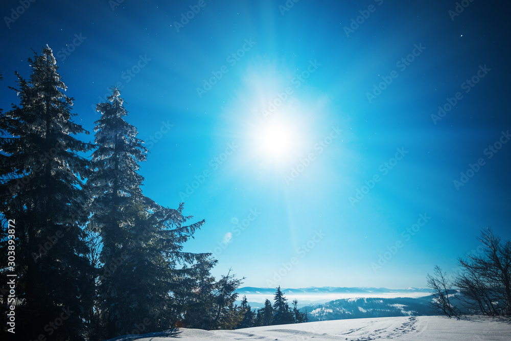 Wonderful beautiful winter landscape