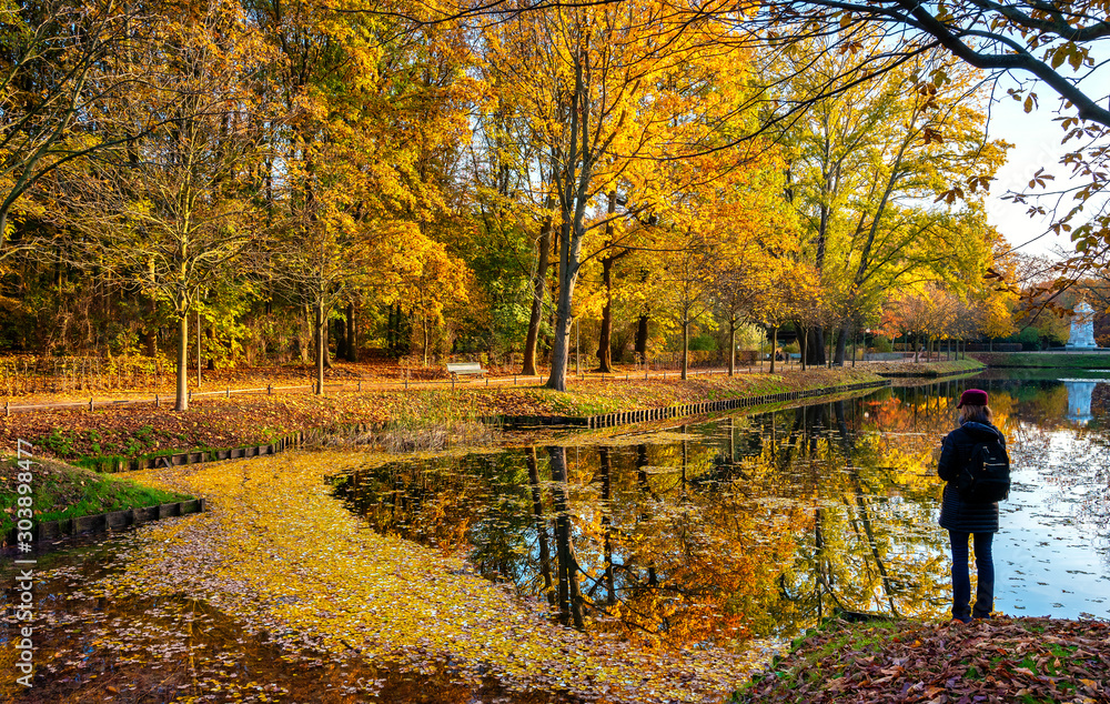 Autumn leaves and autumn trees in a park in Berlin