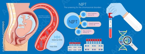 Noninvasive prenatal testing NIPT screening genetic disorders bloodstream cfDNA lab plus diagnostic diagnose 21 18 13 cell free chromosomal abnormalities NIFTY exam simple