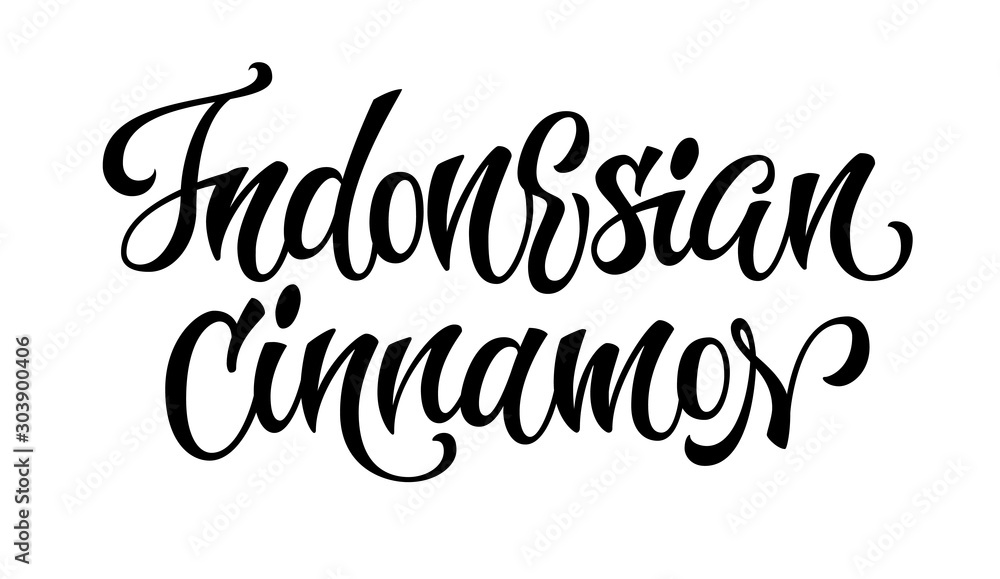 Indonesian cinnamon - vector hand drawn calligraphy style lettering word. Isolated script spice text label. Labels, shop design, cafe decore etc