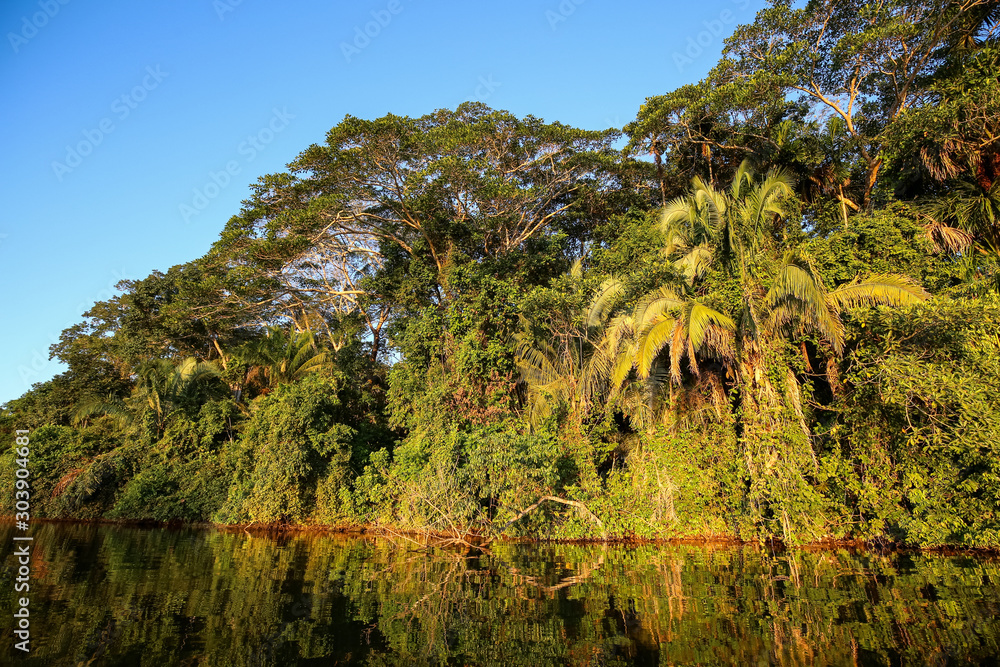 Tropical forest on the Sandoval lake. Tambopata, Peru. Tropical forest on the Sandoval lake. Tambopata, Peru.