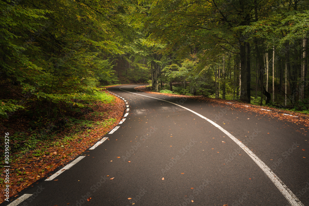 Twisted road through a beautiful autumn forest