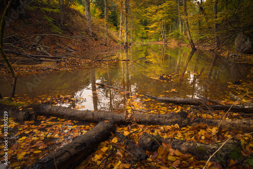 Small lake in the wood with beautiful reflectiion of the autumn colors of the forest and tree trunks in the foreground photo