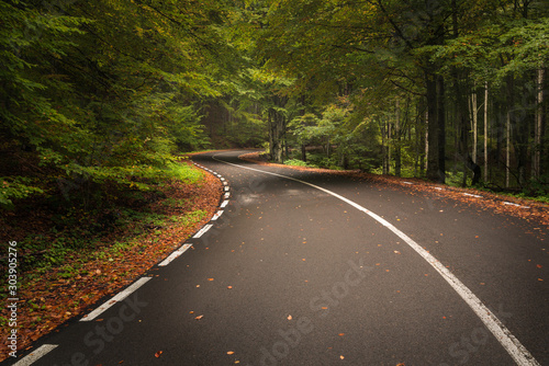 Twisted road through a beautiful autumn forest