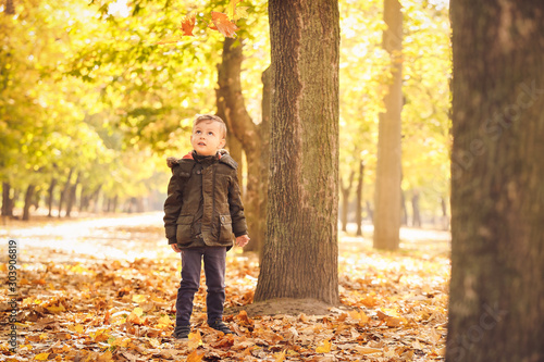 Cute little boy having fun in autumn park © Pixel-Shot