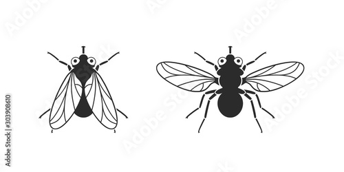 Fototapete Fly logo. Isolated fly on white background