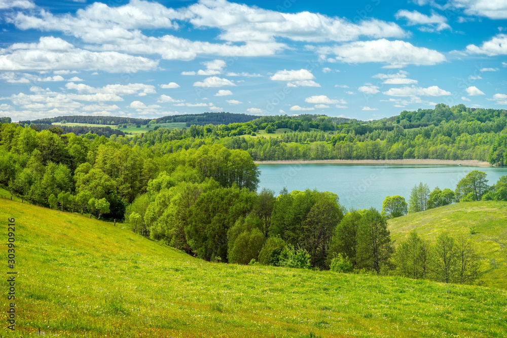 Beautiful spring landscape, Lake among the greenery - obrazy, fototapety, plakaty 