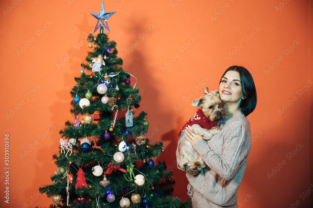 Φωτογραφία young girl with a dog near the Christmas tree prepare for the New Year and Chris