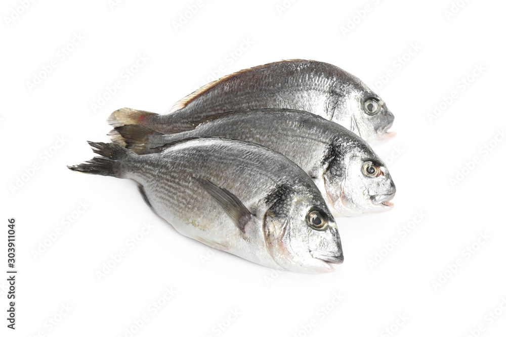 Fototapeta premium Fresh raw dorada fish isolated on white
