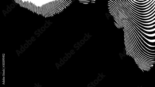 4K abstract background with moving white waves. Animation with abstract zebra pattern. Movie with monochrome glitch effect. Pattern with black and white colors.