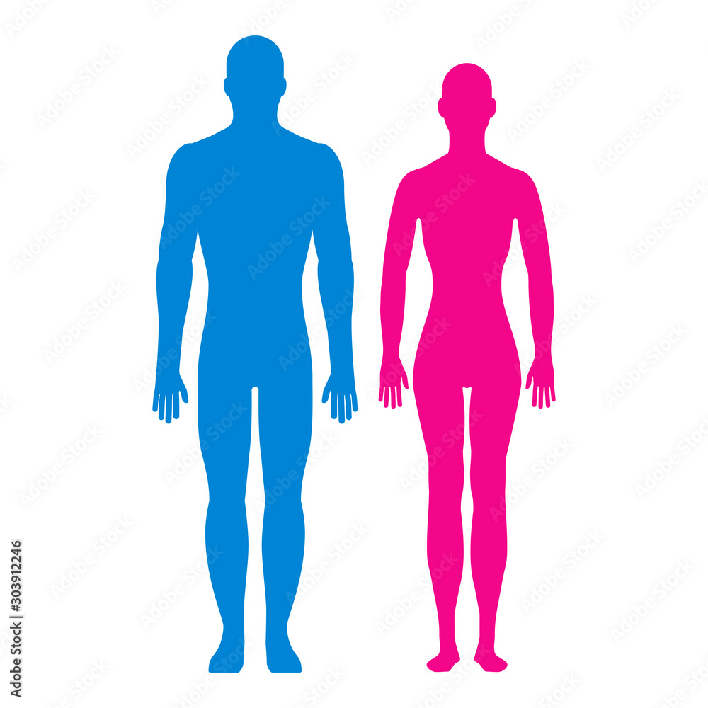 Front view silhouettes of man and woman. Front view silhouettes of man and woman.
