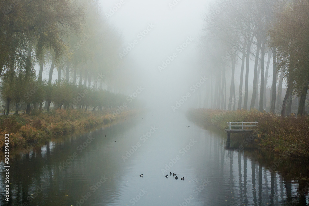 Φωτογραφία a foggy morning along the water in Damme, Bruges. Belgium