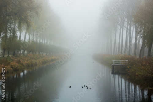a foggy morning along the water in Damme, Bruges. Belgium photo