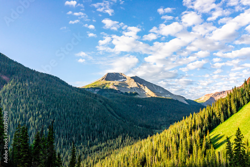 Coniferous pine spruce trees forest pattern view from trail to Ice lake in Silverton, Colorado in August 2019 summer morning sunrise green valley and peak