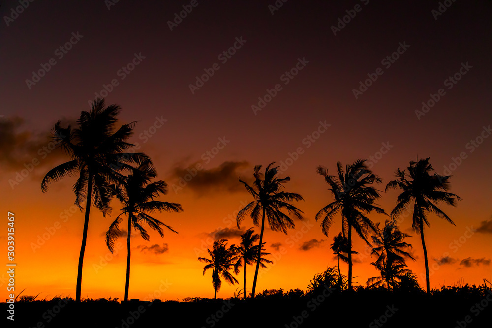 .black silhouettes of tall African palm trees against a bright orange-red sunset sky