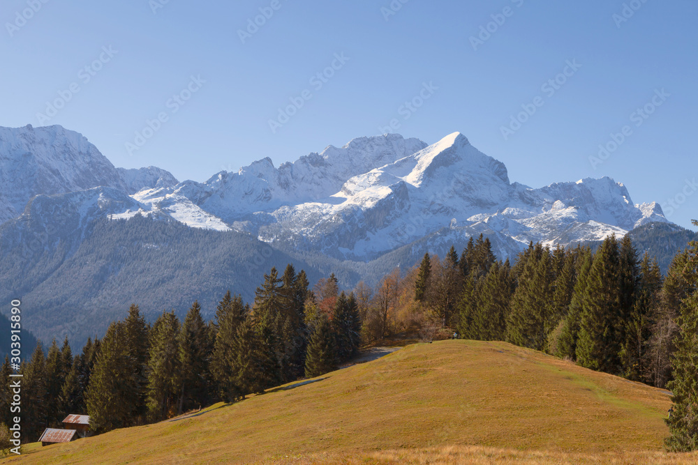 Verschneite Bergspitze im Hintergrund und im Vordergrund eine Almwiese mit verfärbten Bäumen im Spätherbst.