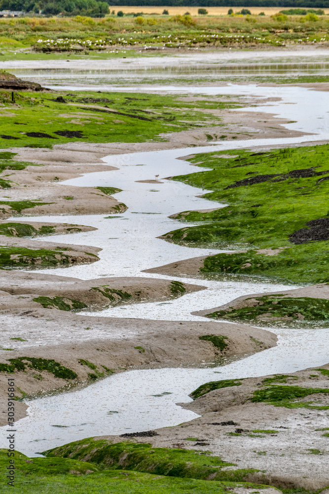 Water channels in the mud flats of the Dengie Penisula around South Woodham Ferrers, Essex. UK