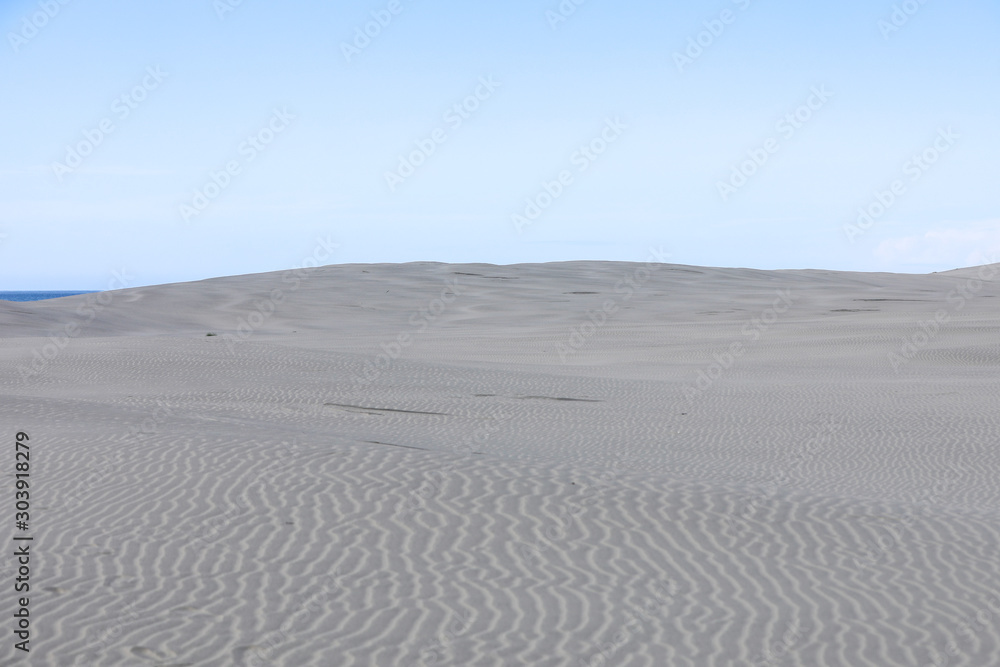 Naklejka premium Strand Sanddüne Meer Farewell Spit in Neuseeland