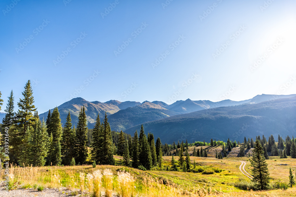 Green pine forest trees meadow wide angle view and sun in blue sky from Colorado highway scenic road 550 San Juan rocky mountains near Silverton in autumn