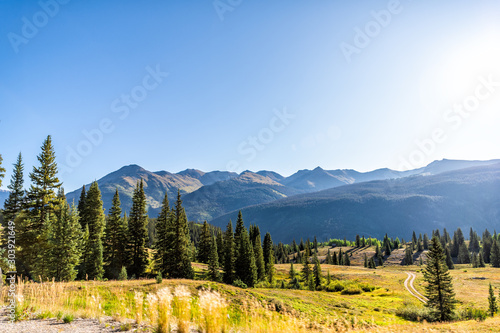 Green pine forest trees meadow wide angle view and sun in blue sky from Colorado highway scenic road 550 San Juan rocky mountains near Silverton in autumn