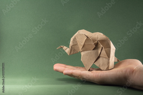 Photography origami baby elephant made of craft paper on green background, paper and forest