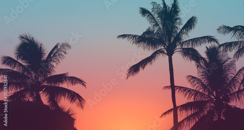 Palmtrees and colorful sunset.  photo