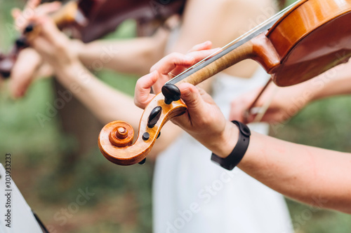 female musician performs at an outdoor wedding. Curl with the neck of the violin closeup. The actor performs at a party. musical instrument. Hands of a violinist close-up.