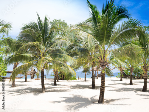Coconut tree plan on white sand beach sea view background, Travel plans after retirement of business people