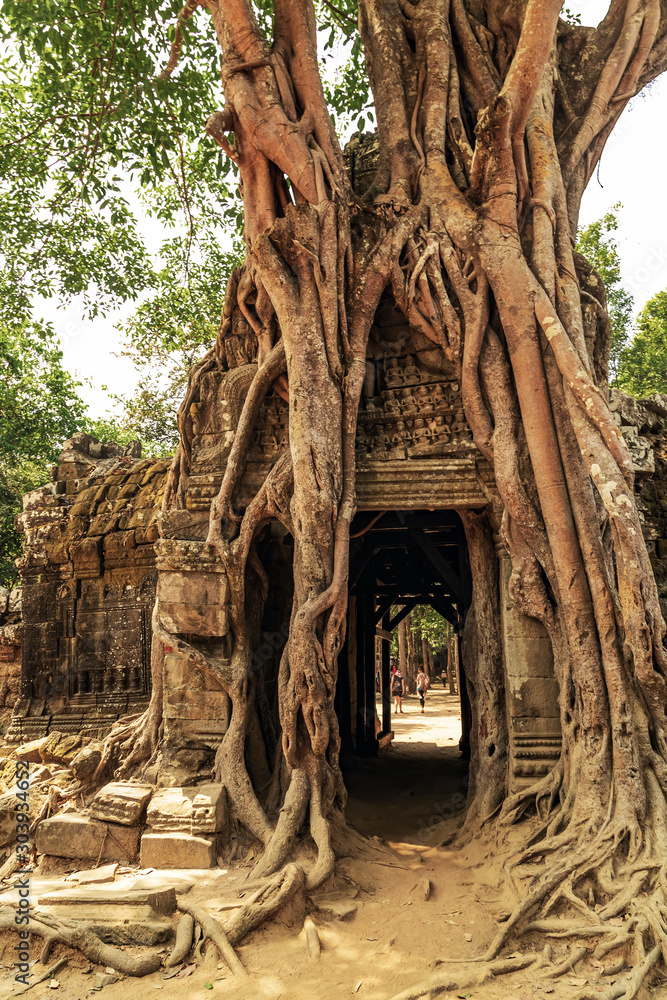 Fototapeta premium starożytna świątynia Ta Som Gate kompleks Khmer Architectur miasto w dżungli Siem Reap Kambodża
