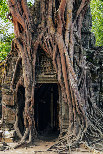 Ta Som Gate complex Khmer architectur jungle Siem Reap Cambodia photo