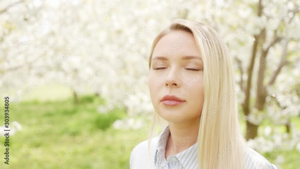 A beautiful blonde in a blue dress is standing in a blooming cherry garden. white flowers petals showered on the background. portrait concept of spring. A beautiful blonde in a blue dress is standing in a blooming cherry garden. white flowers petals showered on the background. portrait concept of spring.