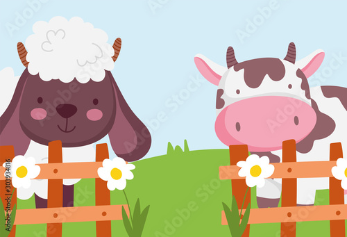 cow and sheep the wooden fence flowers farm animals