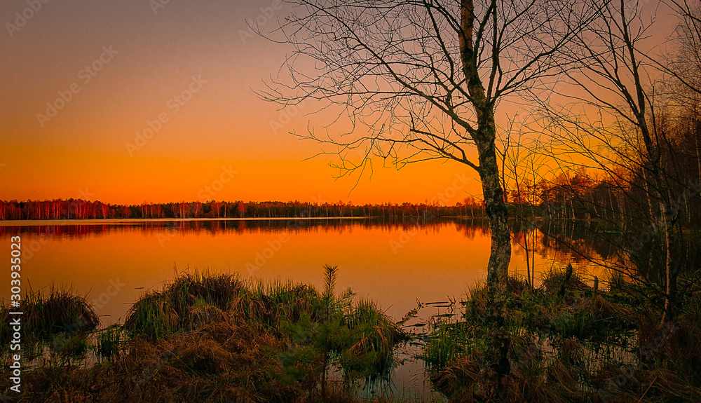 Swamp sunset landscape lake Lithuania Joniskis district Musos tyrelis