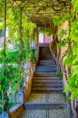 Picturesque stairs in the Generalife Palace in Granada  Andalusia  Spain.