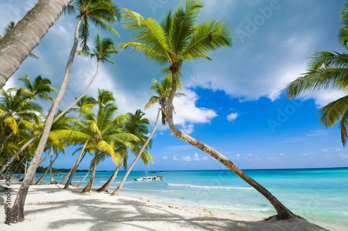 Tropical beach in Caribbean sea  Saona island  Dominican Republic