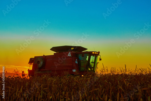 The harvesting of corn fields with combine