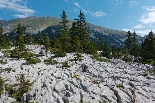 Lapiaz, hauts plateaux du Vercors photo