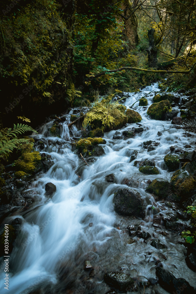 Beautiful flowing creek through lush mossy tranquil forest of Oregon