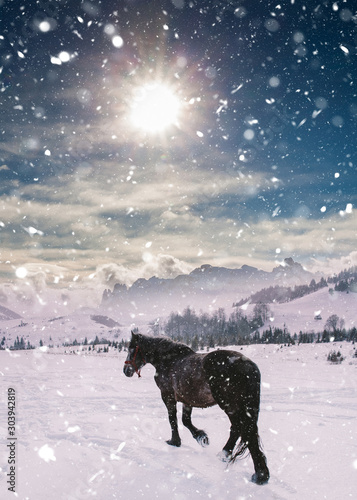 Horses eating hay in a majestic snowy landscape